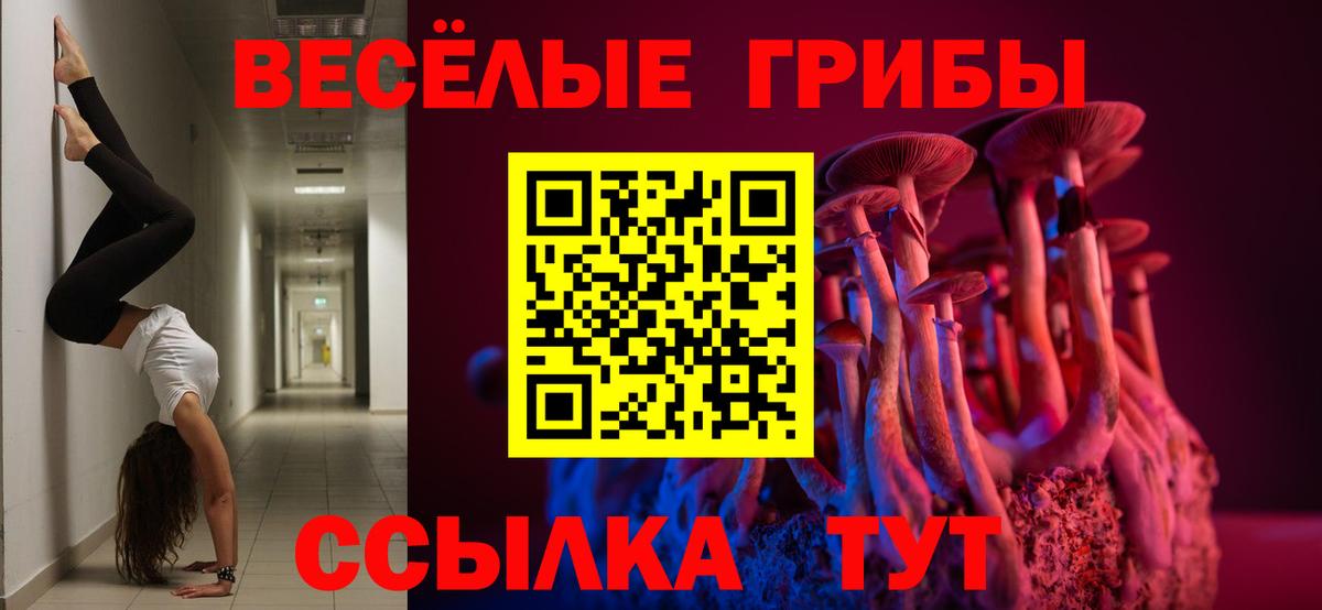 Галлюциногенные грибы GOLDEN TEACHER  Вход с VPN  Псилоцибиновые грибы ЛСД  Бийск 